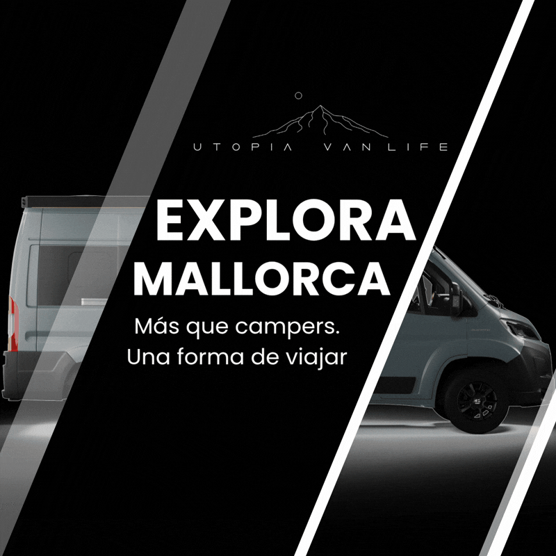 Banners 800x800-9.gif