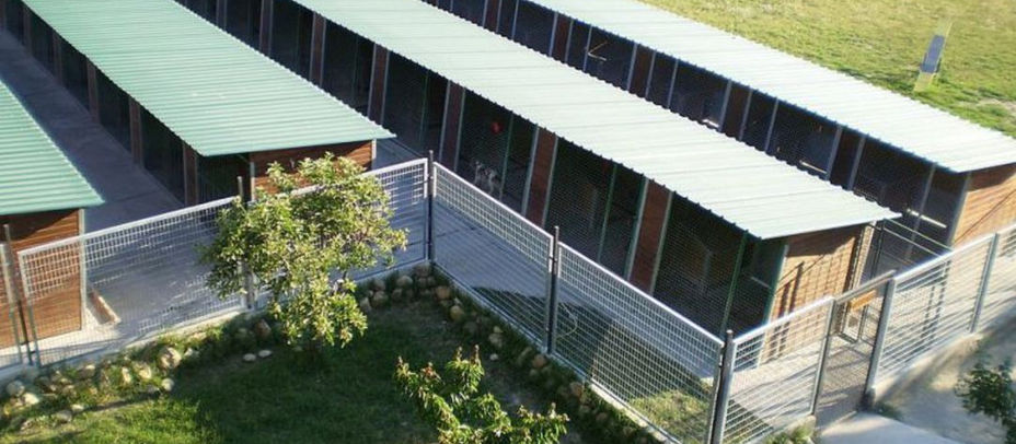 Concentración en contra de que Maikan recoja a los animales abandonados en Alcobendas