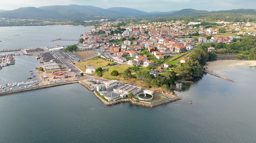 Captura de pantalla 2025-09-01 095434.png