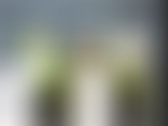 El sorteo de las 36 viviendas de la calle Ángel Olivares se celebrará el 13 de mayo