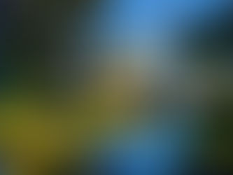 La mansión más cara jamás vendida en Madrid está en La Moraleja