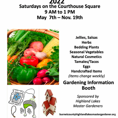 New Farmers Market: November 2022