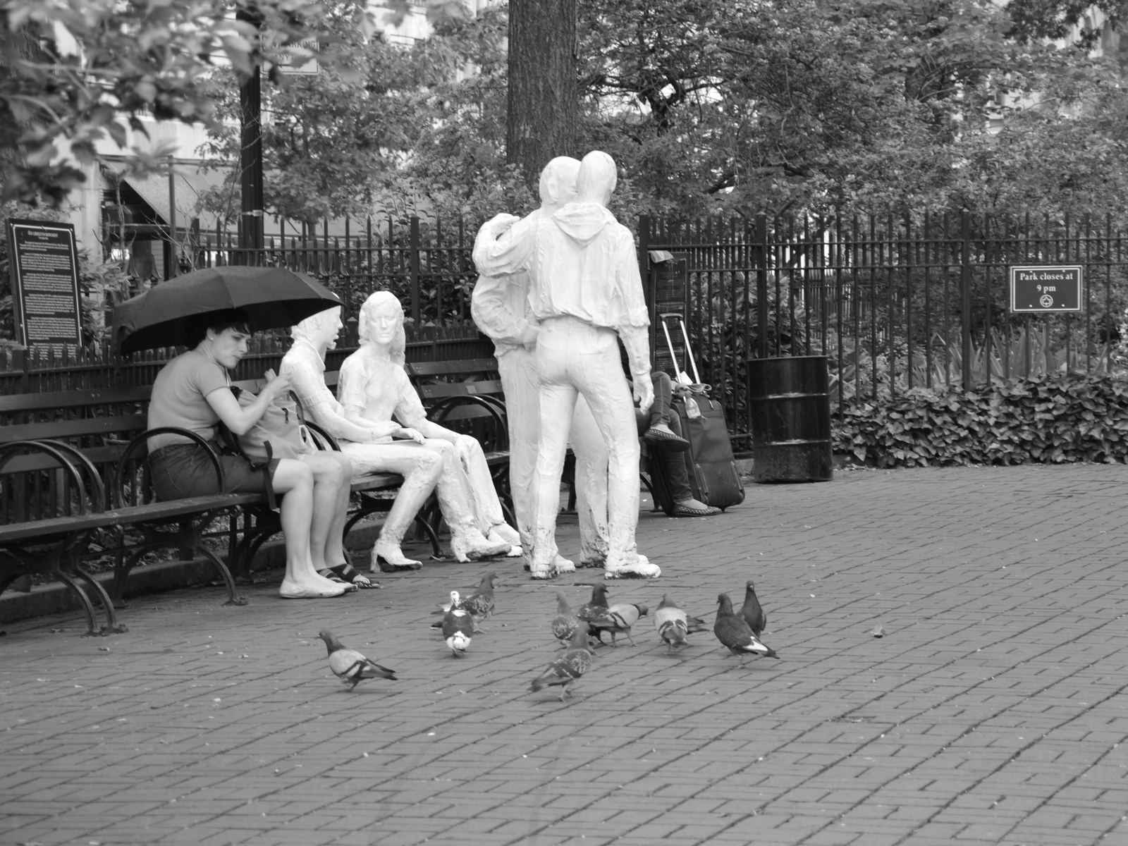 DSC_0664GF (2)FB