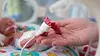 Neonatal-Small-Baby-Unit-blog-shutterstock-486542008.jpg.webp