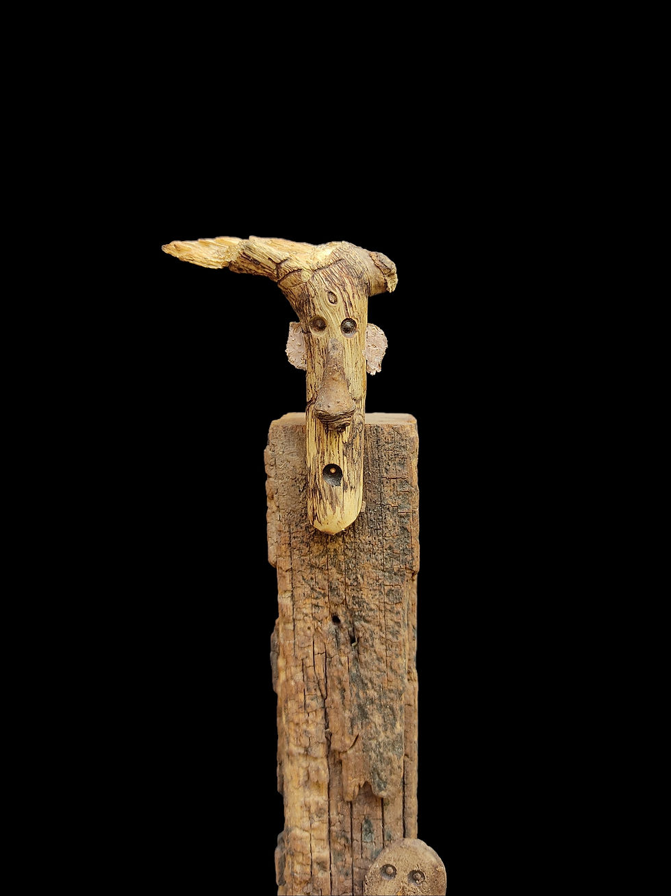 Miniatura: L - Familia VII