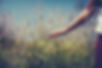 Person in Wheat Field Religious Stock Photograph.jpg
