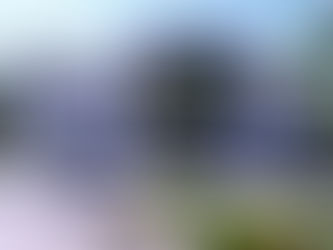 Licitações de Guabiruba têm apenas um participante