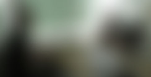 OSBr se reúne com secretária de Saúde