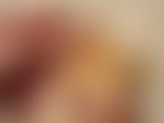 Câmara de Vereadores de Tubarão aprova lei que mantém subsídios de agentes políticos