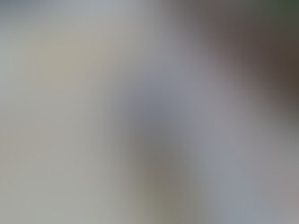 OSBr fiscaliza duas obras em Guabiruba