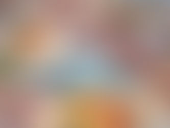 Tubarão é o município que mais gastou com o legislativo em 2015