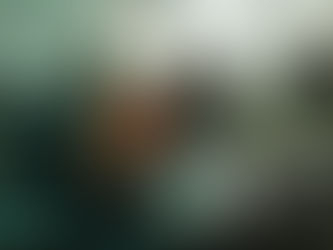 OSBr realiza reunião com OS Itajaí sobre educação fiscal