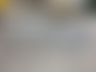 OSBr realiza análise de travessias elevadas