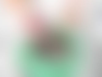 OSBr acompanha entrega de alimentos em duas escolas de Guabiruba