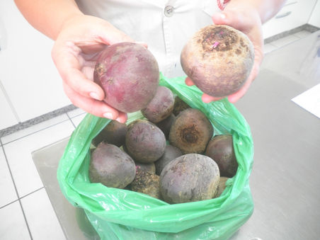 OSBr acompanha entrega de alimentos em duas escolas de Guabiruba