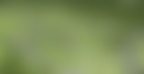 Ibplan aprovou 19 loteamentos nos últimos anos