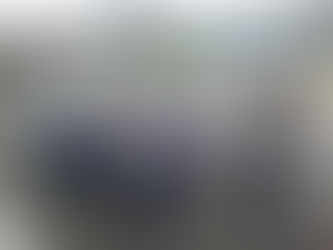 Mais de 400 crianças de Guabiruba são Observadoras Mirins