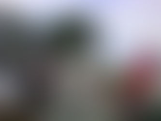 Medicamentos podem ser retirados gratuitamente em farmácias