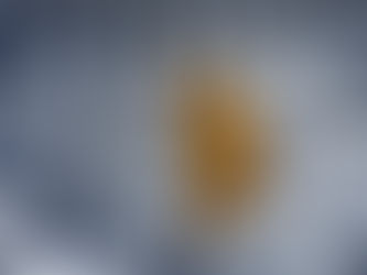 OSBr apoia movimento “Governo Nota 10”