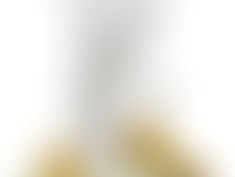 OSBr aponta as despesas da Câmara de Vereadores e da Prefeitura de Brusque