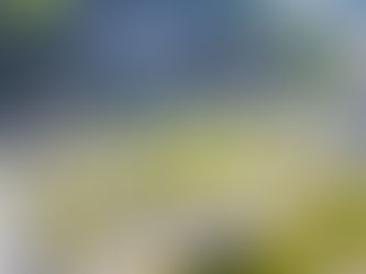 Brusque já pagou mais de R$ 142 milhões em impostos em 2012