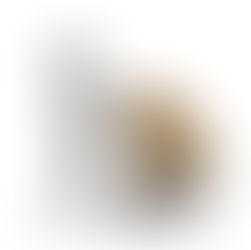 Principais fornecedores de março