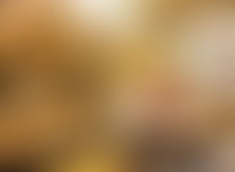 OSBr participa de pregão