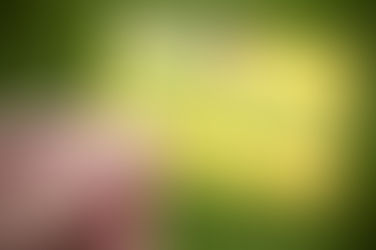 Bolsa Família atende 1.382 pessoas em Brusque com mais de R$ 640 mil