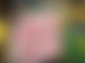 Manifestantes vão às ruas contra a Copa