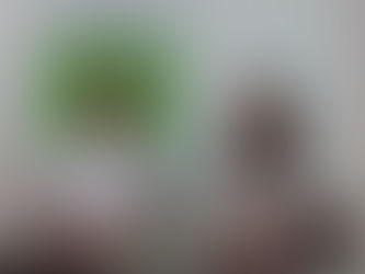 Conheça o Observatório Social de Brusque