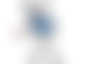 Levantamento aponta os dez principais fornecedores da Prefeitura de Brusque