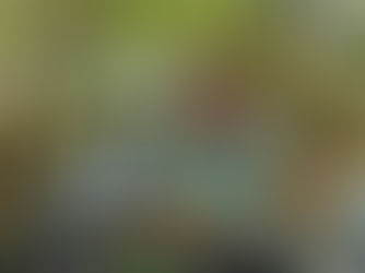 Innovations in Fly Tying: Enrico Puglisi's Synthetic Materials