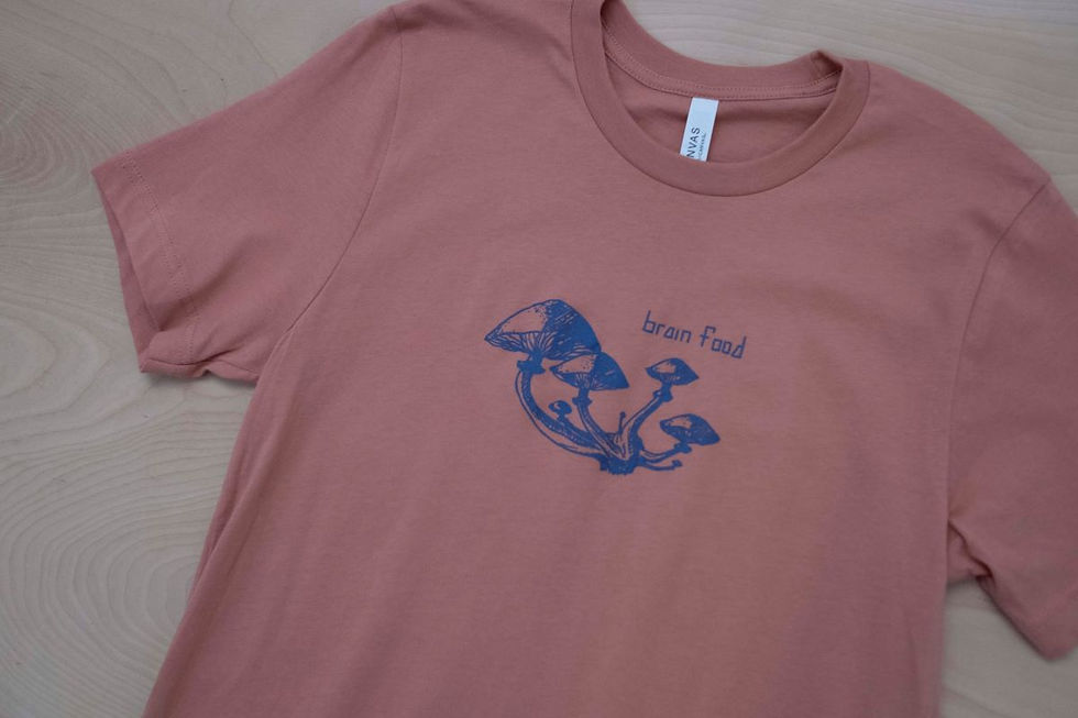Thumbnail: Brain Food Straight Fit T-shirt - Terracotta
