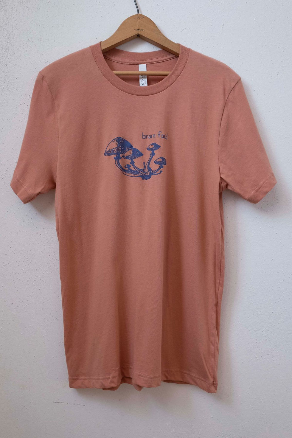 Thumbnail: Brain Food Straight Fit T-shirt - Terracotta