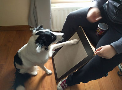 Using a scratch board for your dog's nails