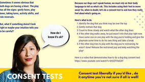 Is My Puppy Play Normal?