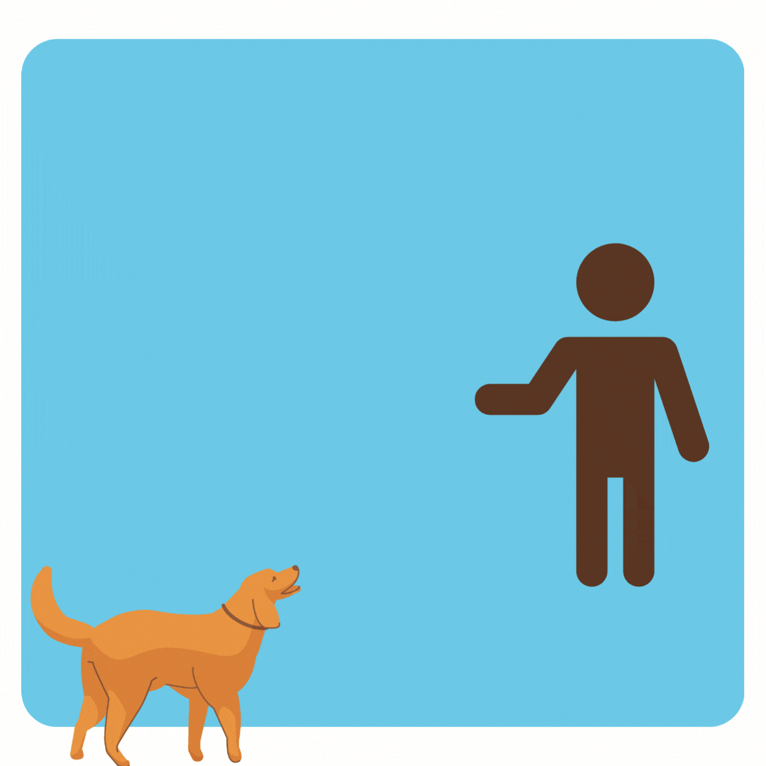 a graphic of a person calling a dog
