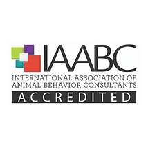 IAABC Credential