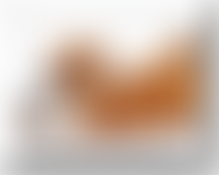 a dog guarding a bown of food