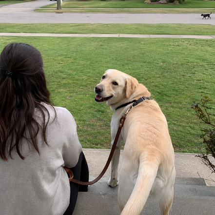 A dog looking back at a woman on a porch