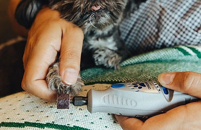Grinding a dog's nails makes them smooth