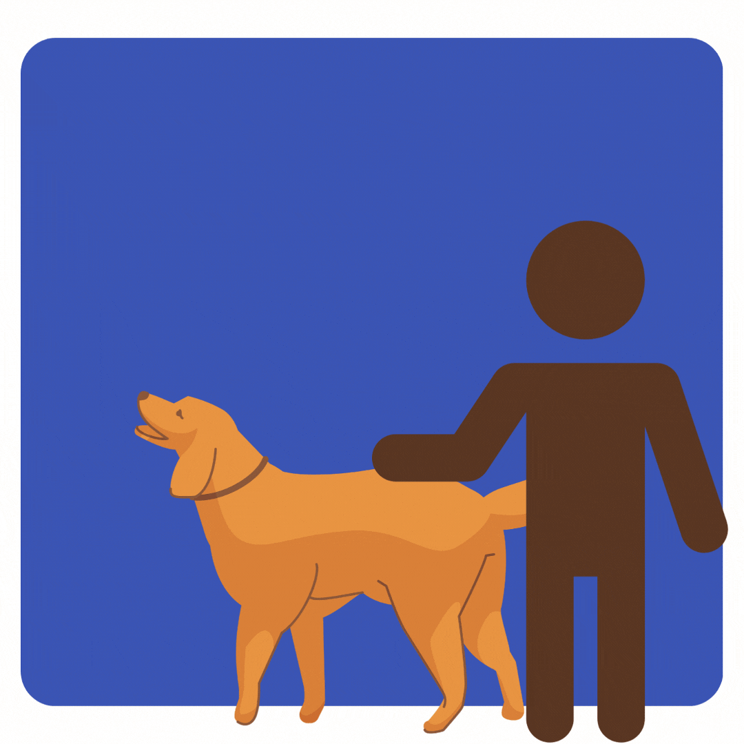 a graphic of a a person petting a dog