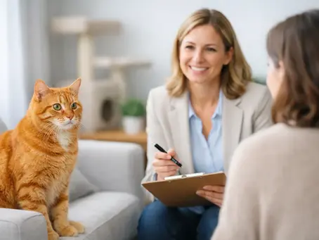 When to Call a Cat Behavior Consultant