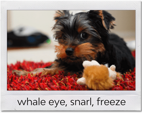 Resource Guarding Basics