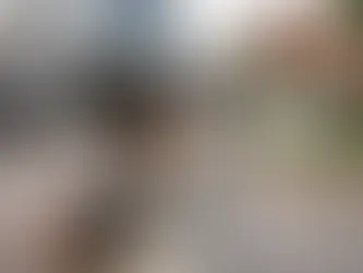 Science Based Dog Training for Real Life