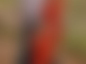 Our Daughter is an ECMO Survivor