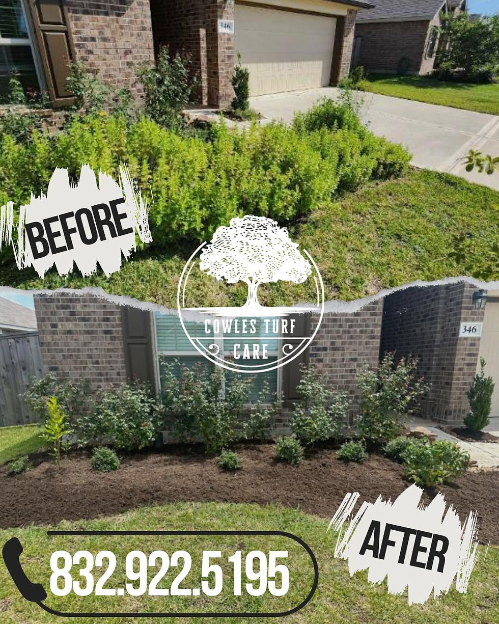 Eye-level view of a vibrant green lawn ready for fertilization