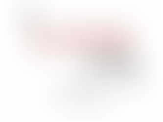 The Closing Collective Team