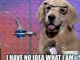 First time home buyer