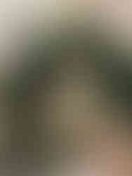 An Impressionist  Wedding in Provence: Light, Colour and a Painterly Palette - Bastide de Laurance, inspired by Monet and French antique markets